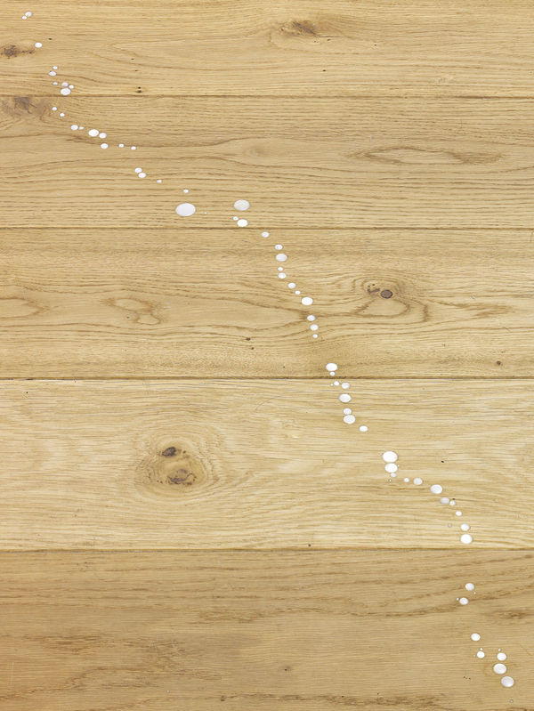 Down to the Mother 2008 site-specific inlaid mother of pearl variable